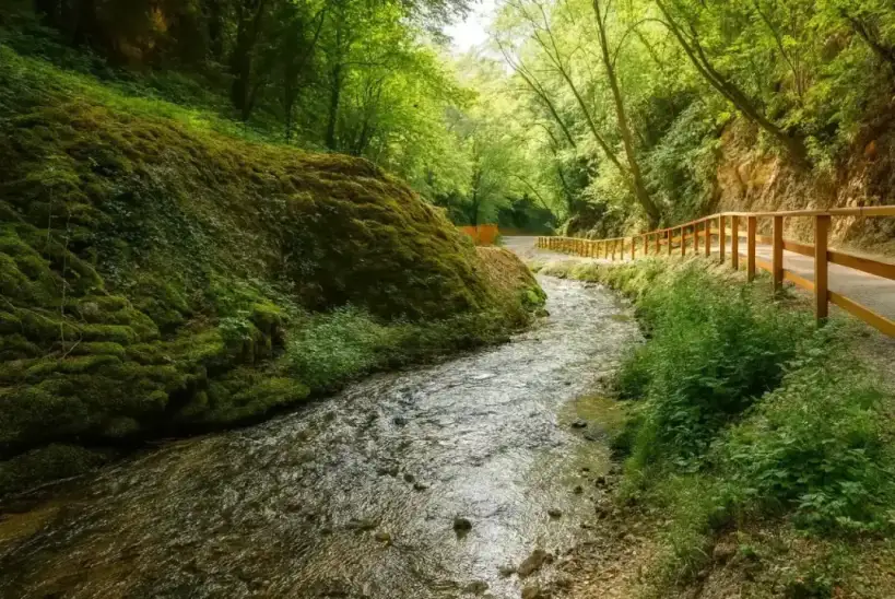 La carriera nello sviluppo oggi: scelte chiare e strumenti efficaci.