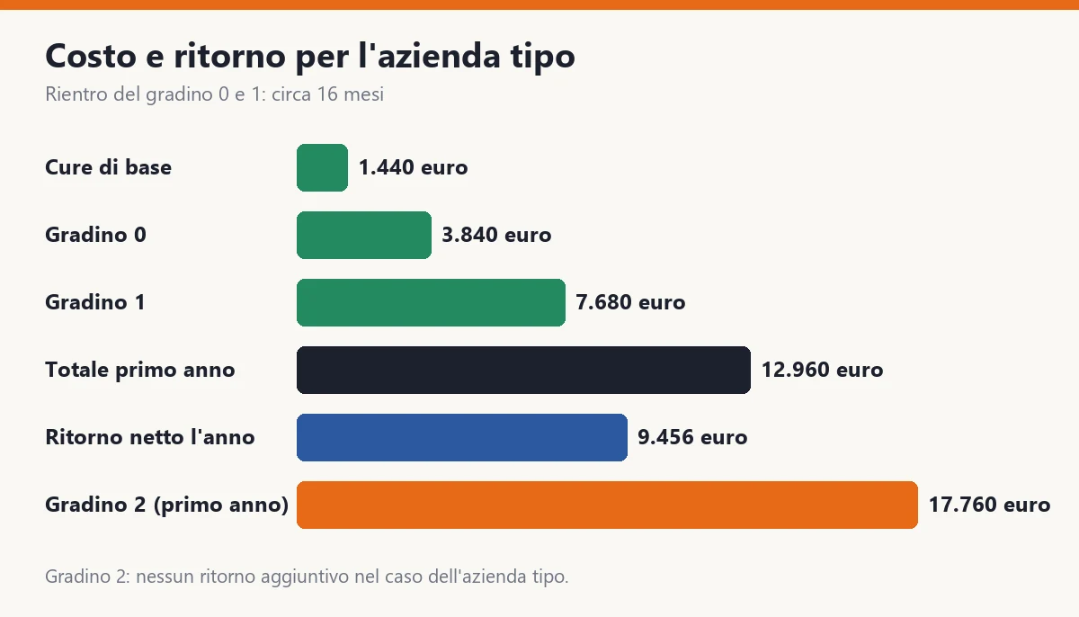 Costo e ritorno dei passi per l'azienda tipo: cure di base 1.440 euro, gradino 0 e gradino 1 per un totale di 12.960 euro con un ritorno netto di circa 9.456 euro l'anno e rientro in circa 16 mesi, gradino 2 con 17.760 euro il primo anno e 5.472 negli anni dopo senza ritorno aggiuntivo nel caso dell'azienda tipo