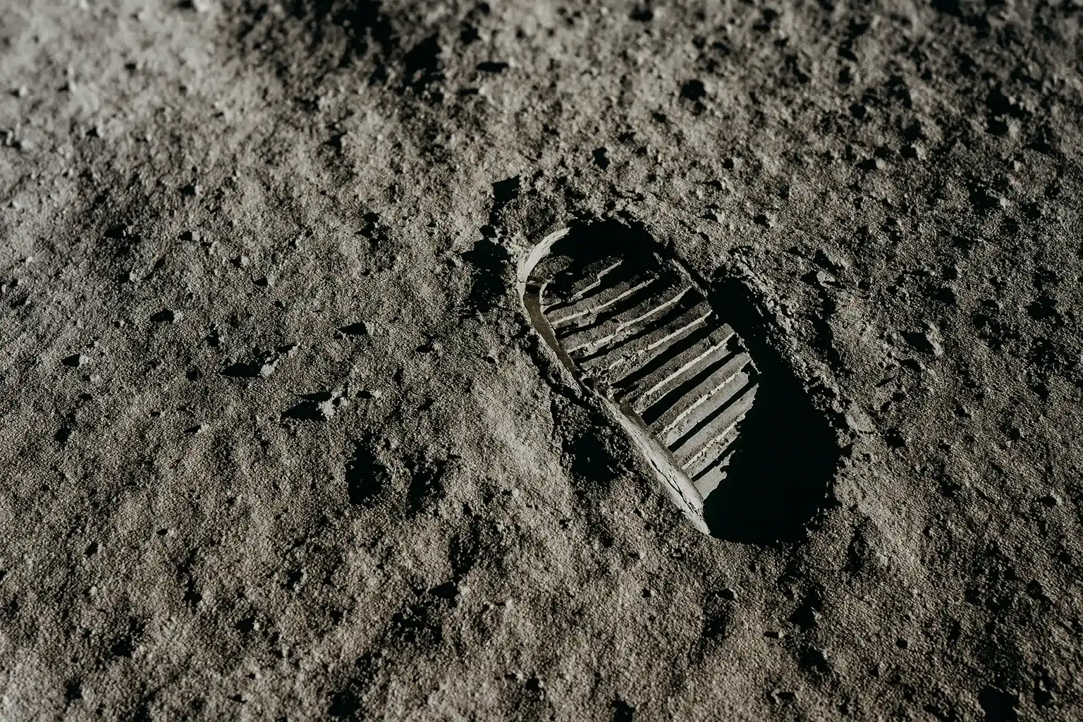 Ogni progetto AI inizia distinguendo forme, contorni e dettagli invisibili al codice.