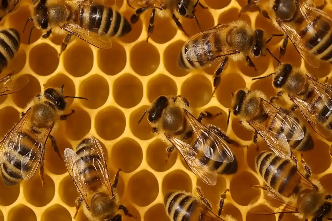 Build robust api in c sharp with our online c# tutorial for scalable and secure backend development.